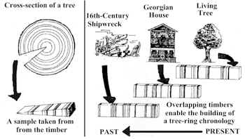 Representation of the principle behind tree-ring dating